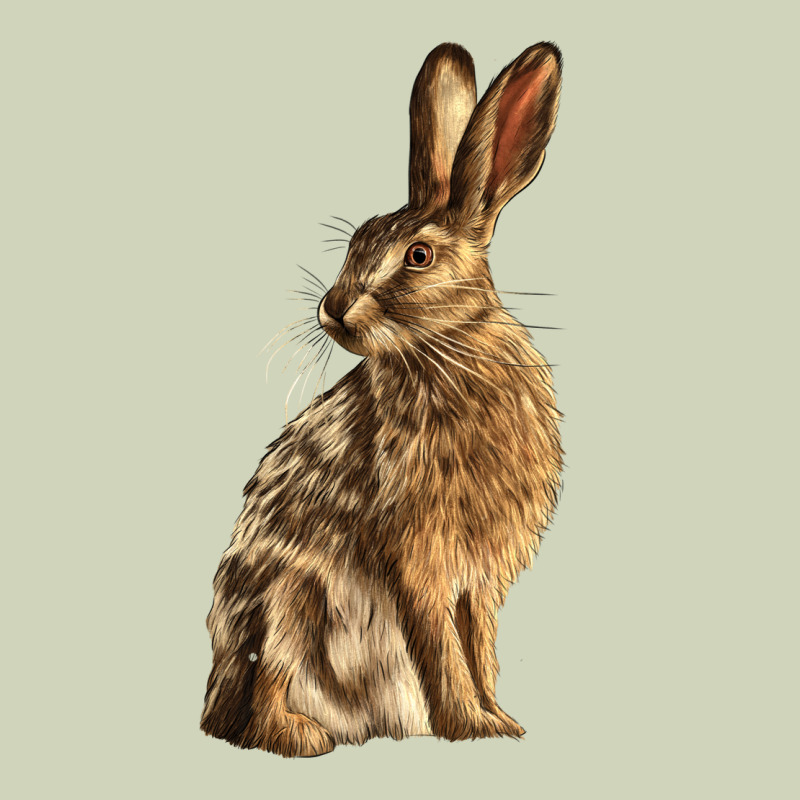 Hares Heavyweight Hoodie by LillyAllenDesigns | Teevron