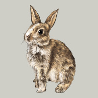 Rabbit Heavyweight Hoodie | Teevron