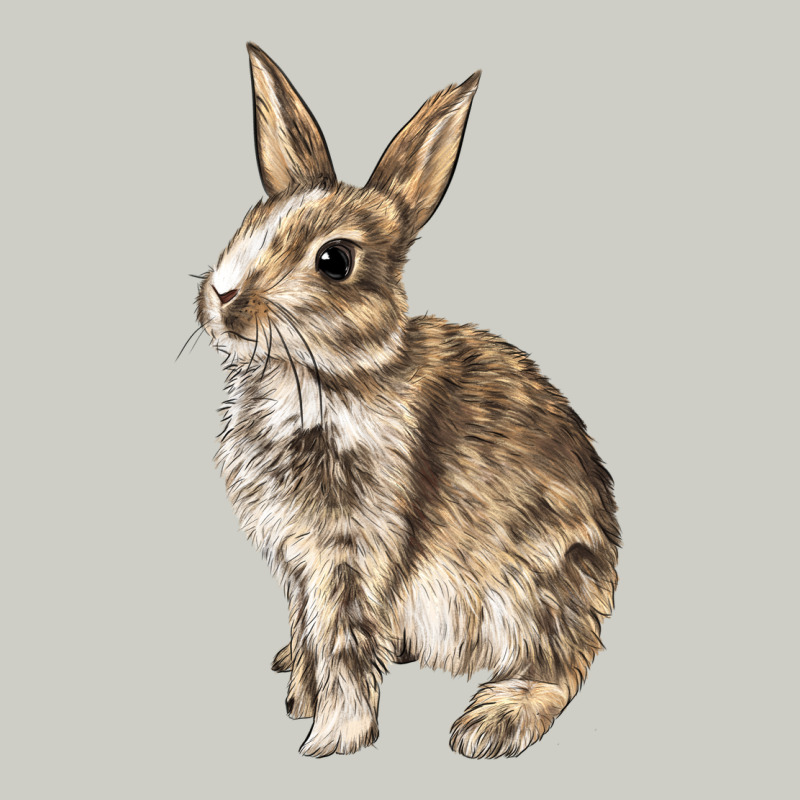 Rabbit Heavyweight Hoodie by LillyAllenDesigns | Teevron
