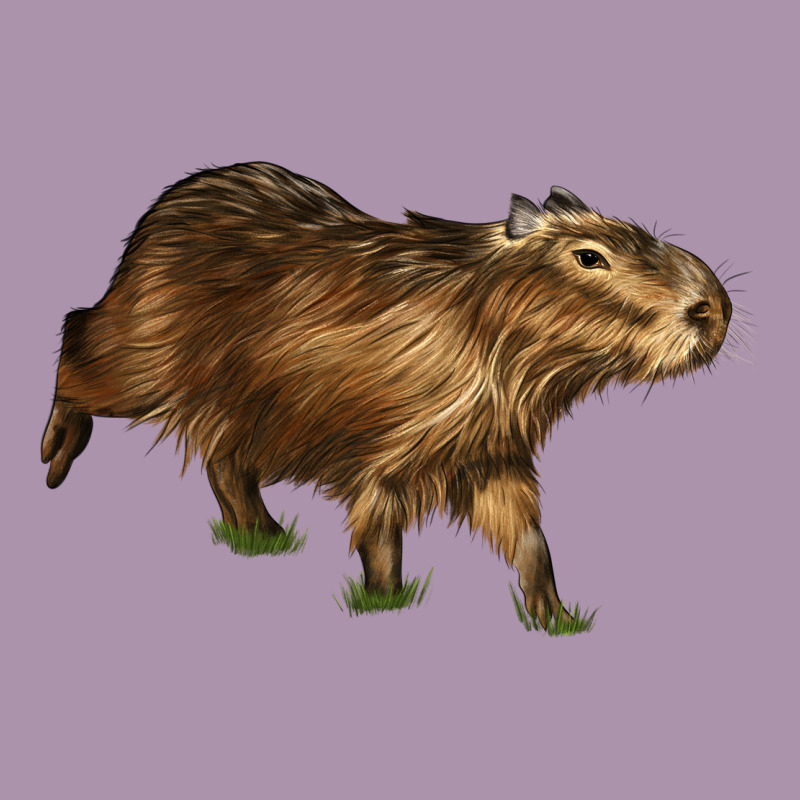Capybara Heavyweight Hoodie by LillyAllenDesigns | Teevron