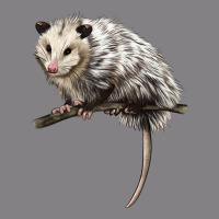 Opossum Heavyweight Hoodie | Teevron