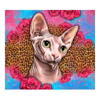 Western Sphynx Cat | Teevron
