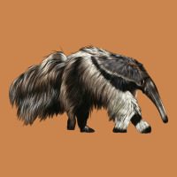 Anteaters Heavyweight Hoodie | Teevron