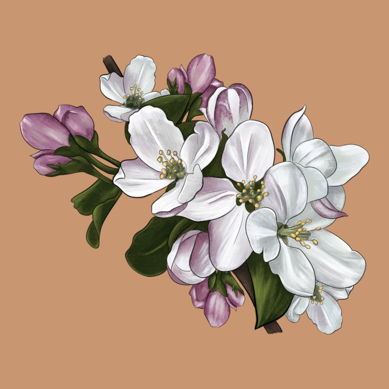 Apple Blossom Heavyweight Hoodie by LillyAllenDesigns | Teevron