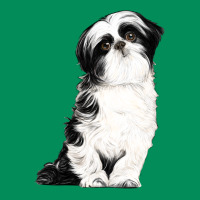 Shih Tzu Dog Urban Hoodie | Teevron