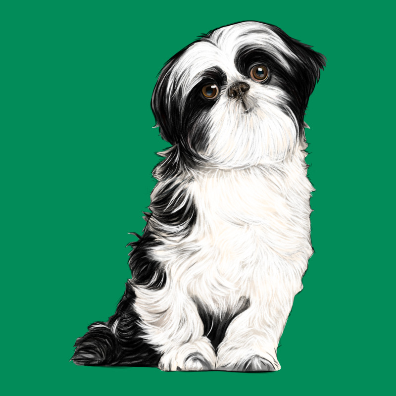 Shih Tzu Dog Urban Hoodie by LillyAllenDesigns | Teevron