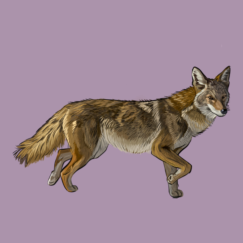 Coyote Heavyweight Hoodie by LillyAllenDesigns | Teevron