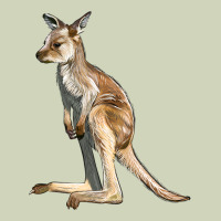 Baby Kangaroo Heavyweight Hoodie | Teevron