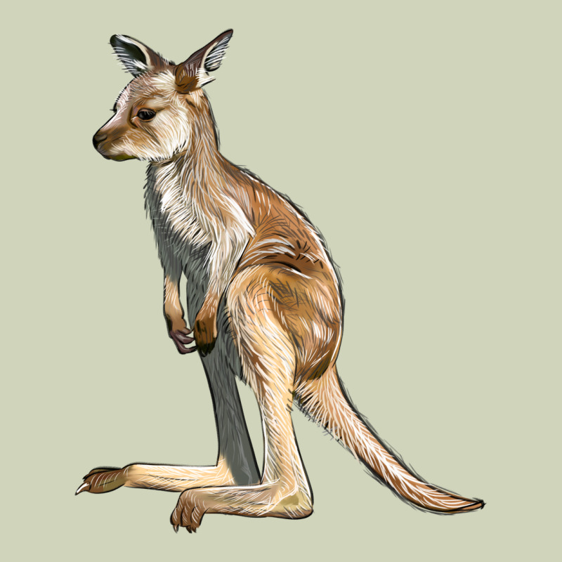 Baby Kangaroo Heavyweight Hoodie by LillyAllenDesigns | Teevron