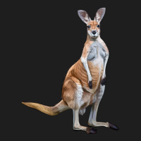 Kangaroo Heavyweight Hoodie | Teevron