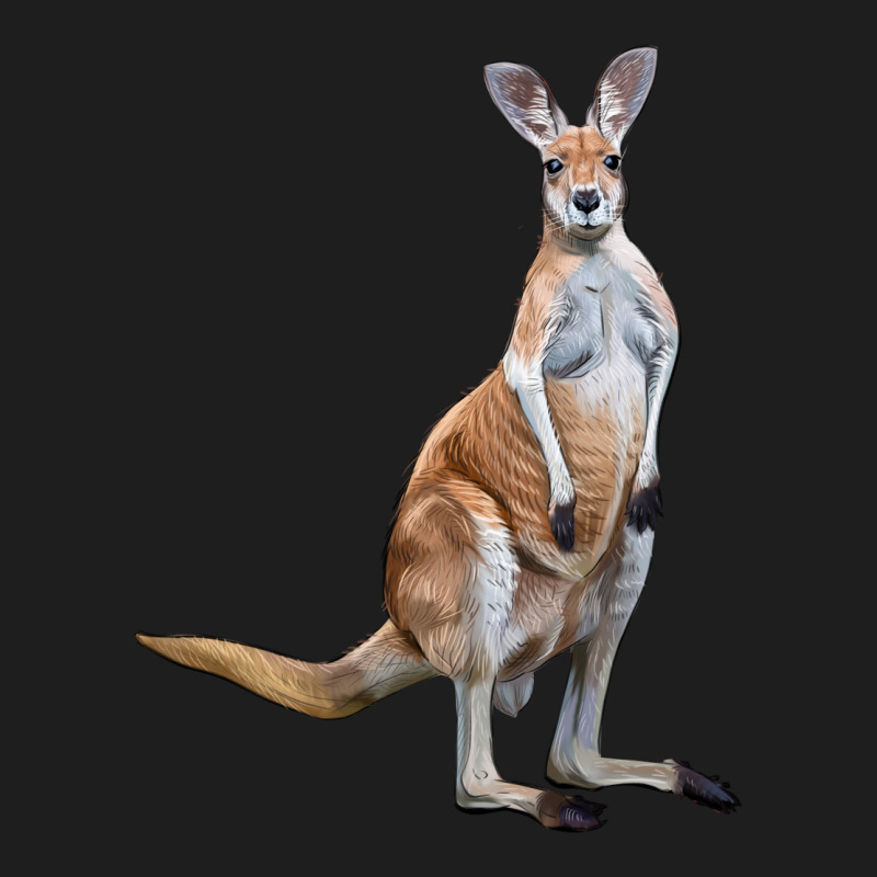 Kangaroo Heavyweight Hoodie by LillyAllenDesigns | Teevron