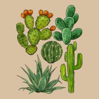 Watercolor Cactus Bundle Preview Heavyweight Hoodie | Teevron