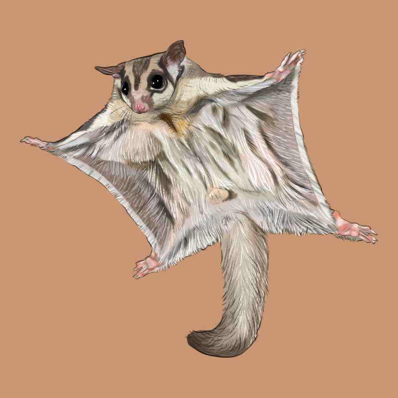 Sugar Glider Heavyweight Hoodie by LillyAllenDesigns | Teevron