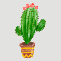 Mexican Cactus Classic Tee | Teevron