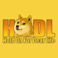 Hodl Hold On For Dear Life Dogecoin Premium Sweatshirt | Teevron