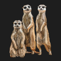 3 Meerkat Heavyweight Hoodie | Teevron