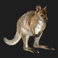 Hand Drawn Wallaby Animal Heavyweight Hoodie | Teevron
