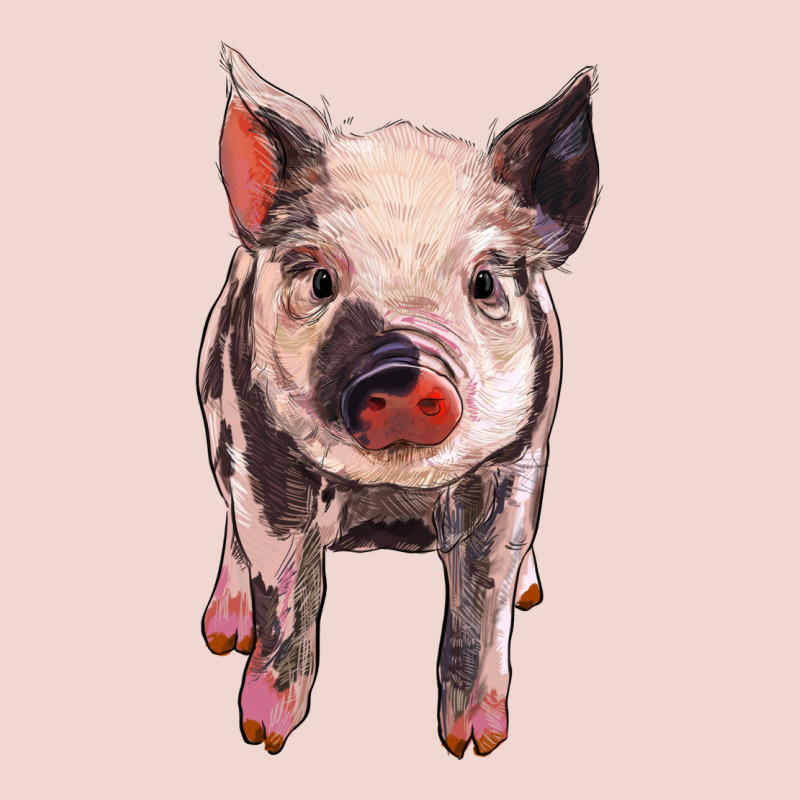 Pig Premium Sweatshirt by BarkalooDesign | Teevron