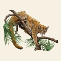 Florida Panther Vintage Tee | Teevron