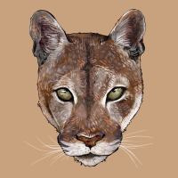 Florida Panther  Face Vintage Tee | Teevron