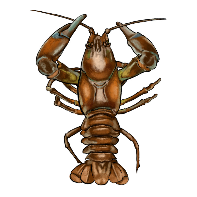 Crawfish Long Sleeve Tee by FaDigitalArtStudio | Teevron