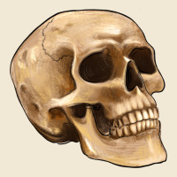 Skull Premium Tee | Teevron