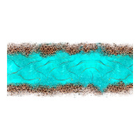 turquoise leopard | Teevron