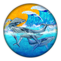 humpback whale | Teevron