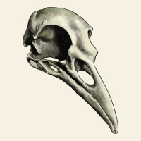 Raven Skull Vintage Tee | Teevron