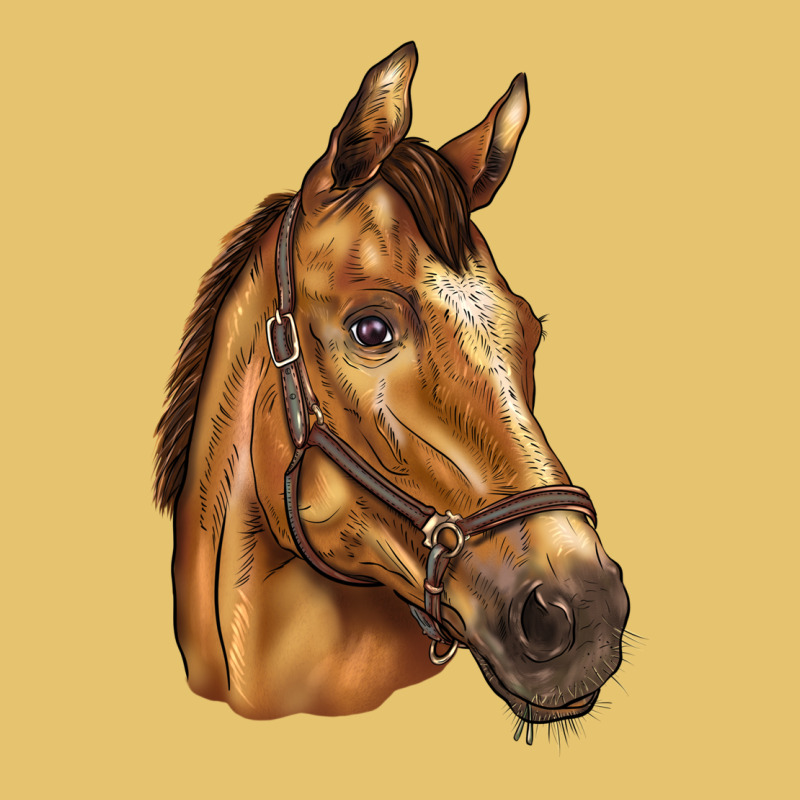 Horse Premium Sweatshirt by BarkalooDesign | Teevron