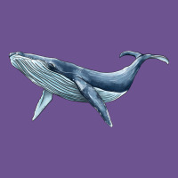 Humpback Whale Vintage Tee | Teevron