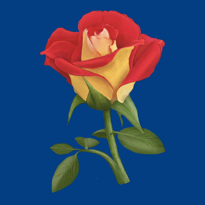 Ketchup And Mustard Rose Premium Sweatshirt by LillyAllenDesigns | Teevron