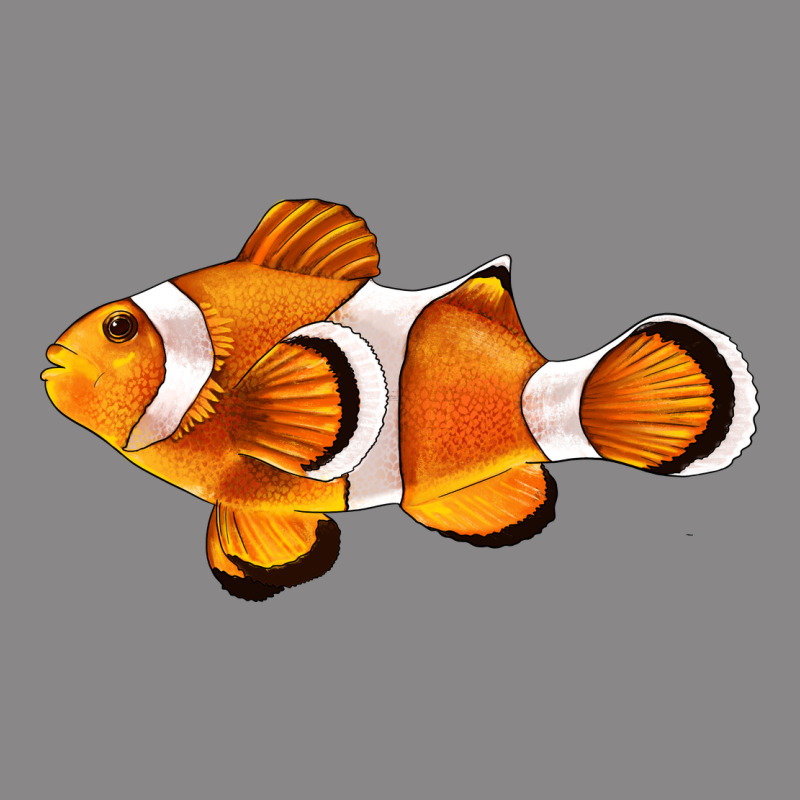 Clown Fish Side Vintage Tee by BarkalooDesign | Teevron