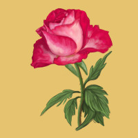 Love At First Sight Rose Premium Sweatshirt | Teevron