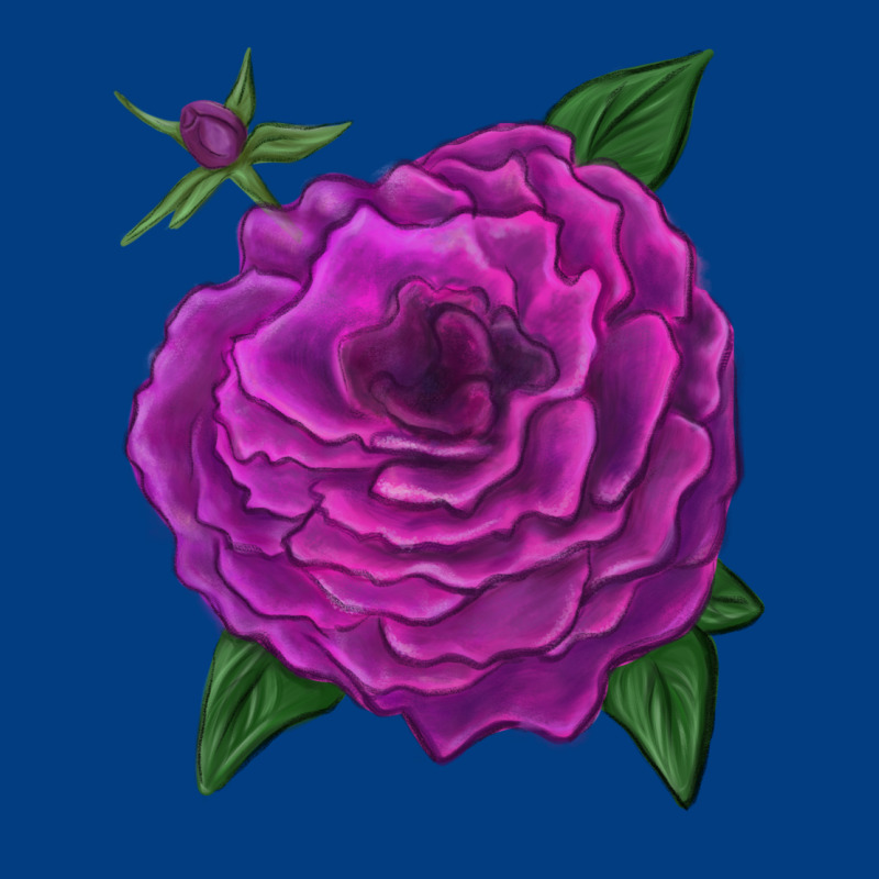 Celestial Rose Premium Sweatshirt by LillyAllenDesigns | Teevron