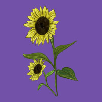 Buttercream Sunflower Premium Sweatshirt | Teevron