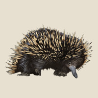 Short Beaked Echidna Urban Hoodie | Teevron