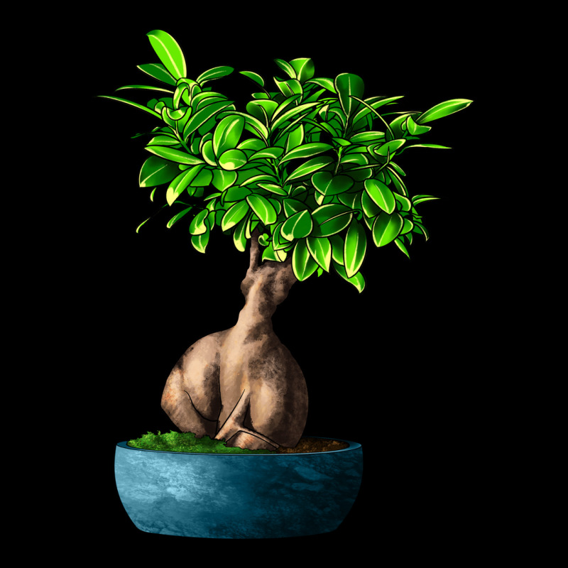 Ficus Ginsenge Premium Sweatshirt by LillyAllenDesigns | Teevron