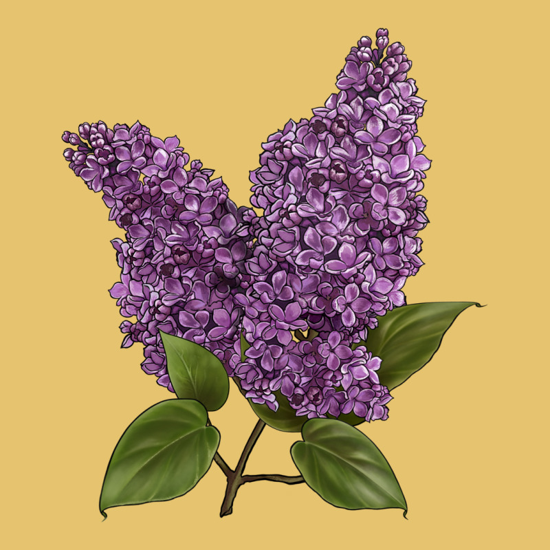 Purple Lilac Flower Illustrations Premium Sweatshirt by LillyAllenDesigns | Teevron