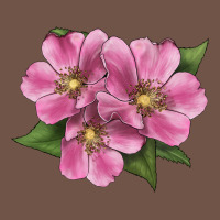Wild Prairie Rose Illustrations Premium Sweatshirt | Teevron