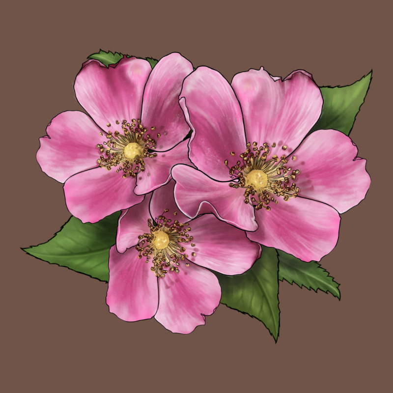 Wild Prairie Rose Illustrations Premium Sweatshirt by LillyAllenDesigns | Teevron