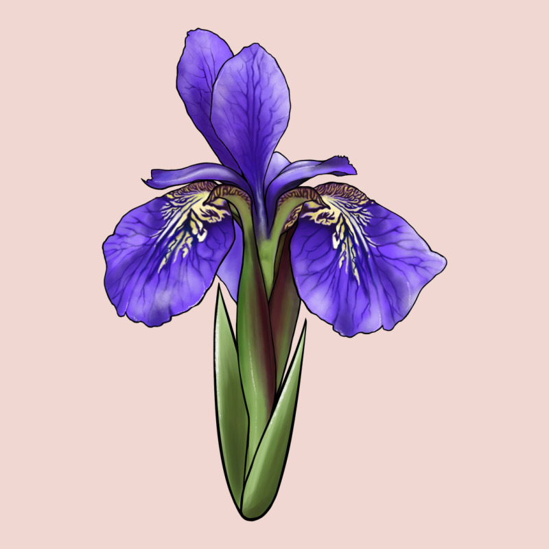 Iris Flower Illustrations Premium Sweatshirt by LillyAllenDesigns | Teevron