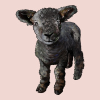 Southdown Baby Sheep Premium Sweatshirt | Teevron