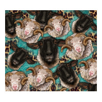 suffolk ewe and merino ram sheeps | Teevron