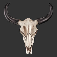 western bull skull tbw | Teevron