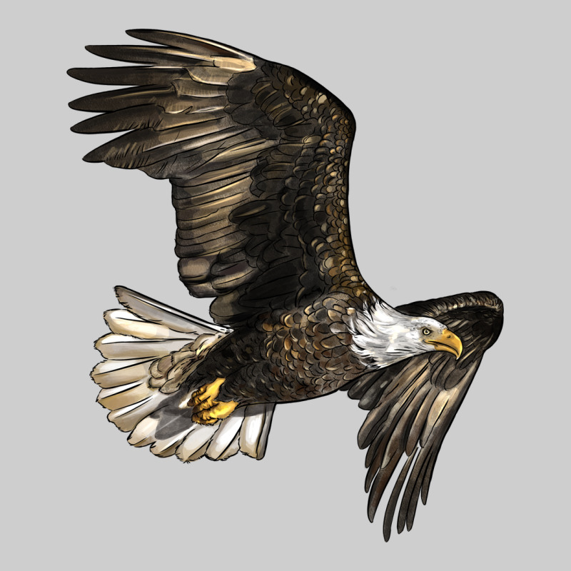 White Headed Eagle Premium Sweatshirt by LillyAllenDesigns | Teevron