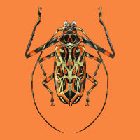 Acrocinus Beetle Illustrations Premium Sweatshirt | Teevron