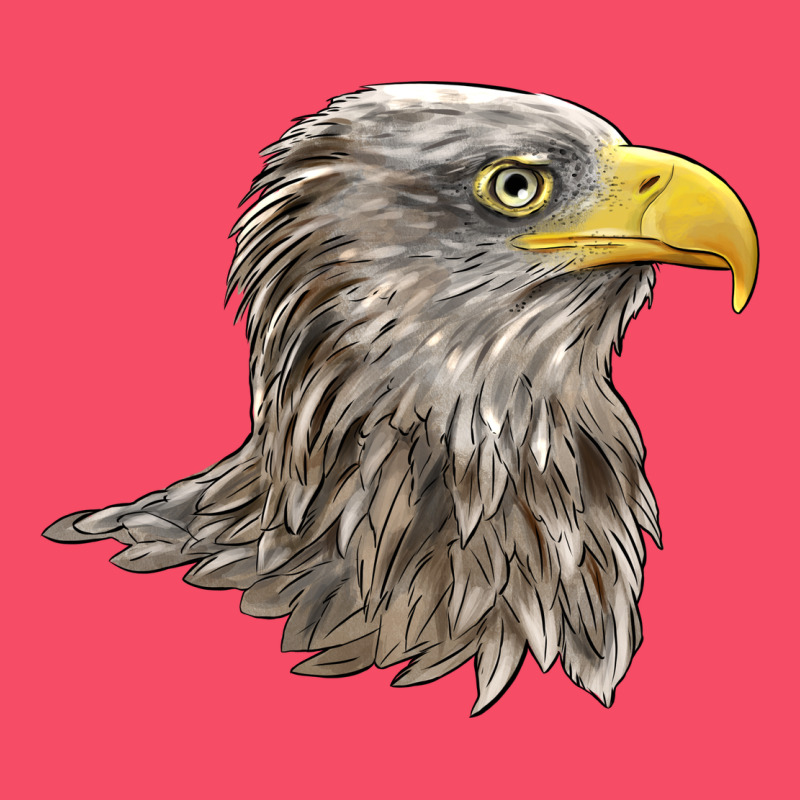 American White Sea Eagle Head Premium Sweatshirt by LillyAllenDesigns | Teevron