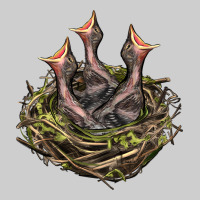 Bird Nest With Baby Birds Premium Sweatshirt | Teevron