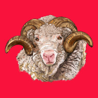 Merino Wool Ram Classic Tee | Teevron